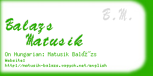 balazs matusik business card